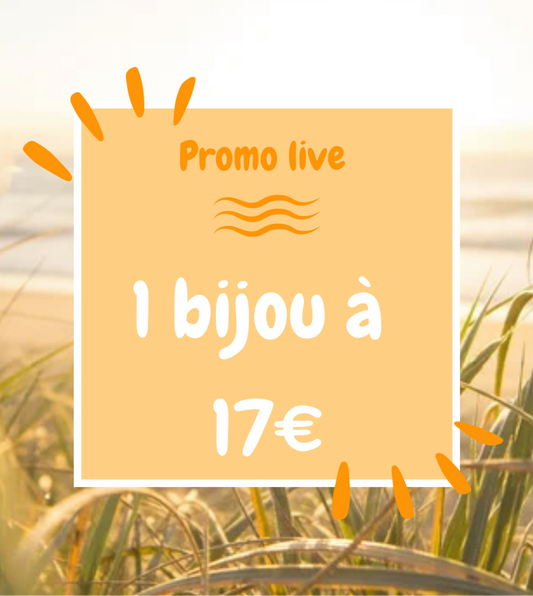 Promo live 1 bijou à 17€